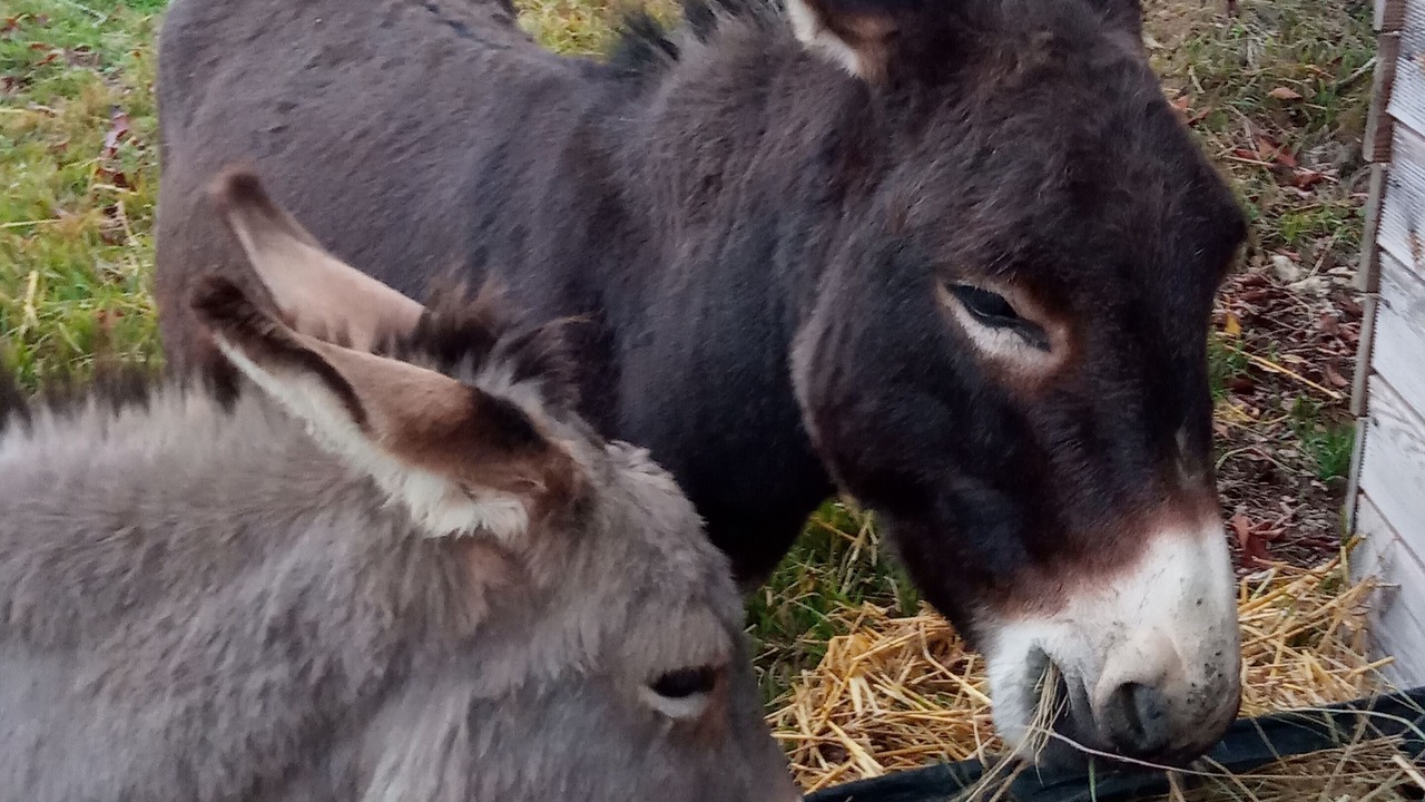 Photo of Outdoor in La Clotte