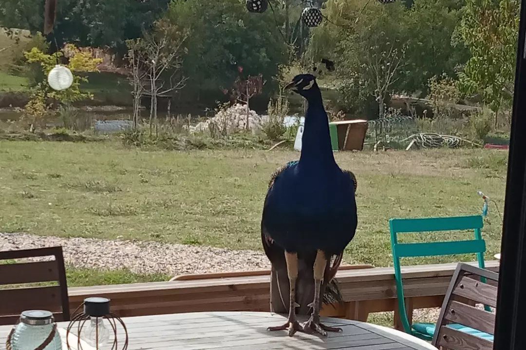 Photo of Outdoor in La Clotte