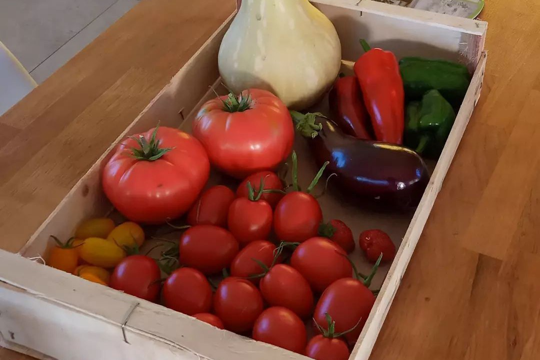 Photo of Others in La Clotte