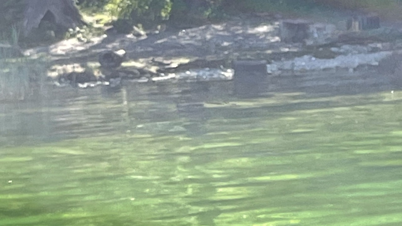 Photo of Others in Brison-Saint-Innocent