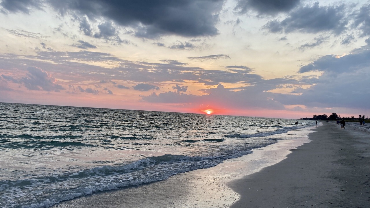 Photo of Others in Whitney Beach