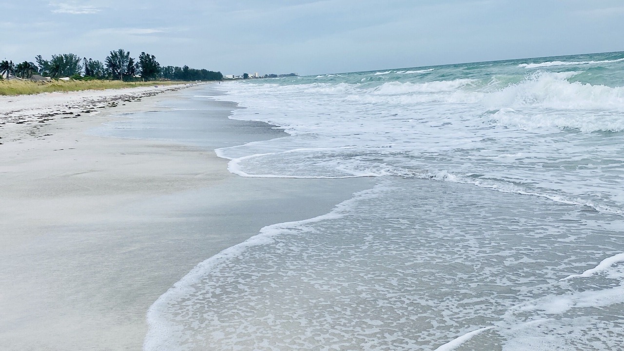 Photo of Others in Whitney Beach