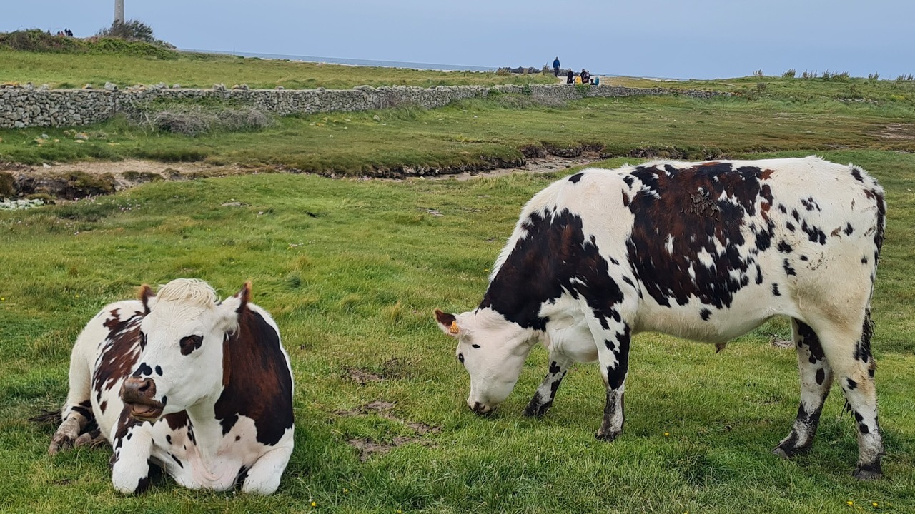 Photo of Outdoor in Benoitville