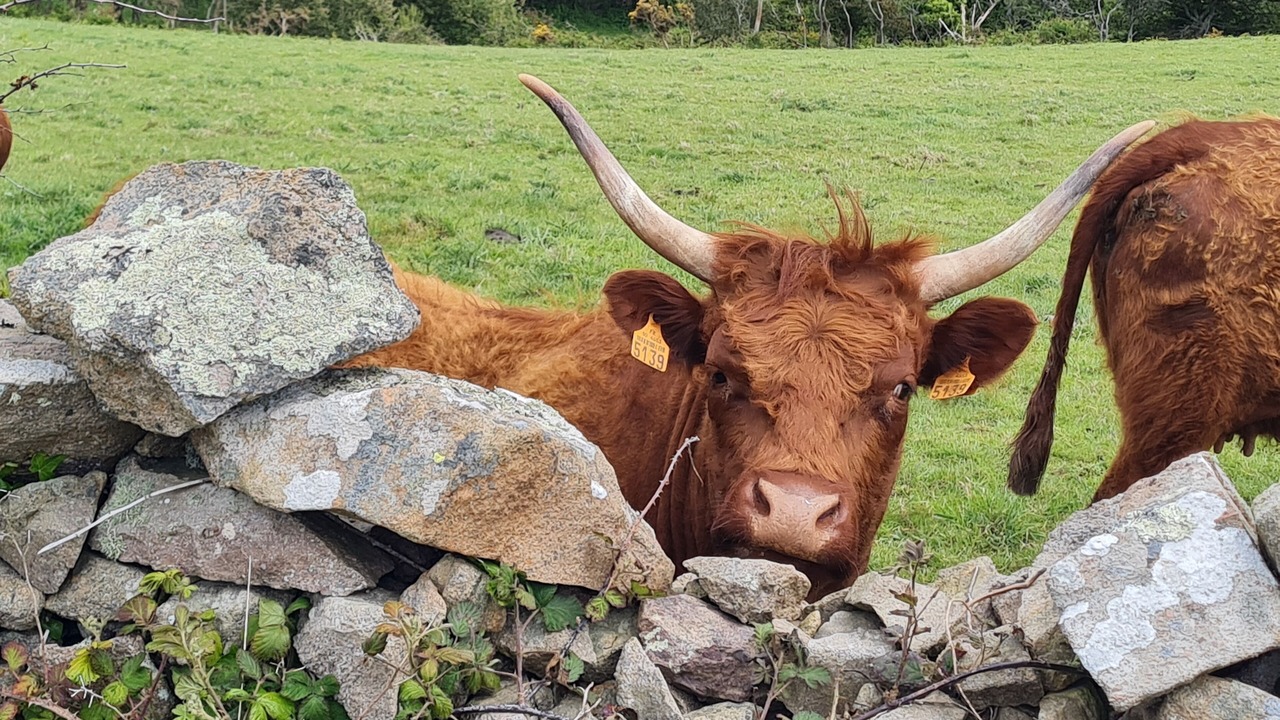 Photo of Outdoor in Benoitville