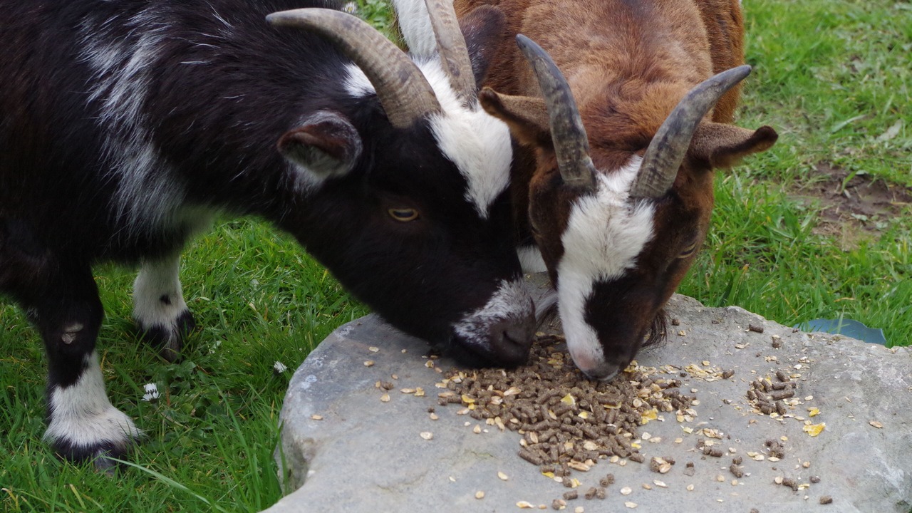 Photo of Outdoor in Benoitville