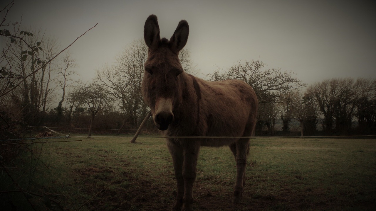 Photo of Outdoor in Benoitville