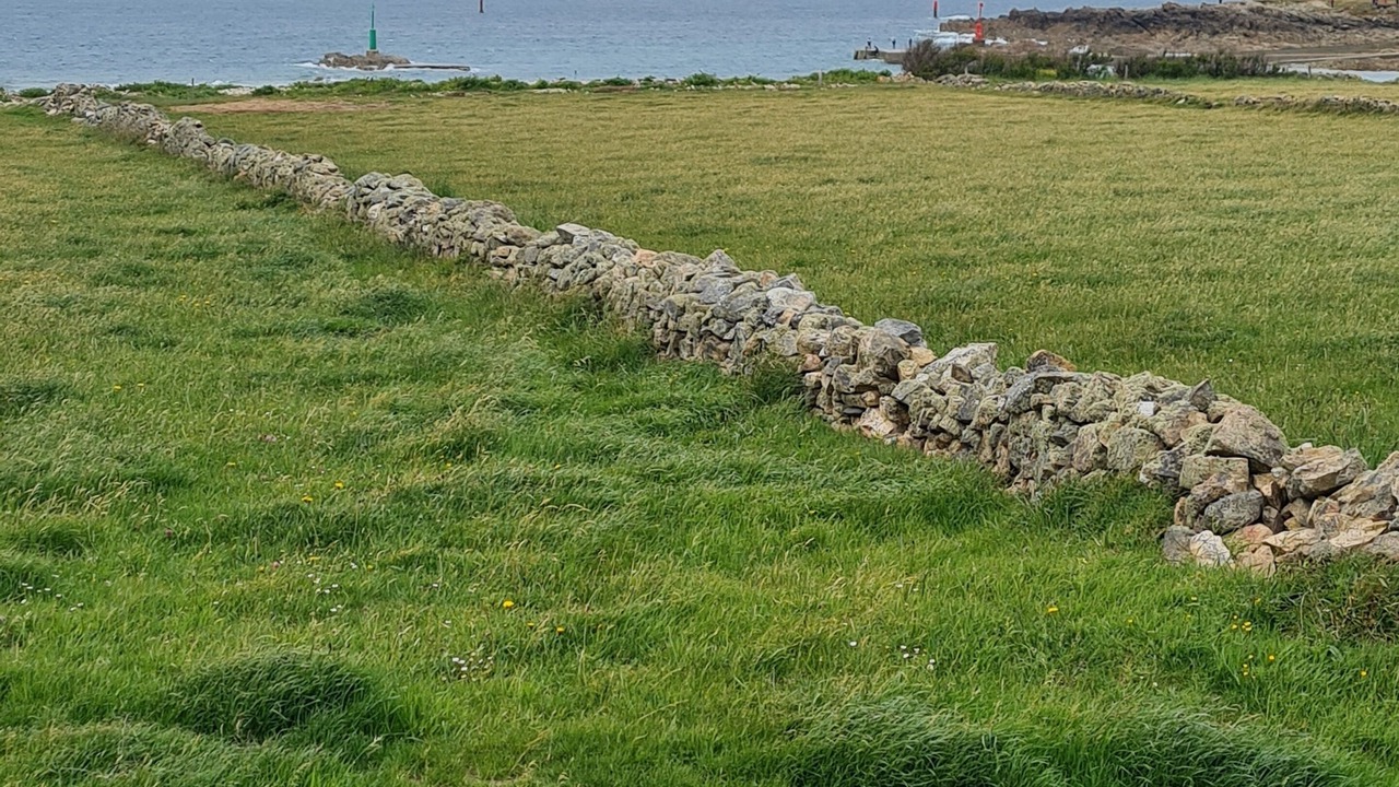 Photo of Others in Benoitville