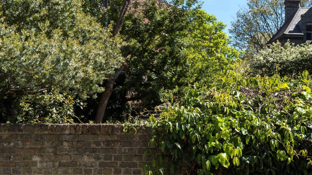 Photo of Outdoor in Bishop's