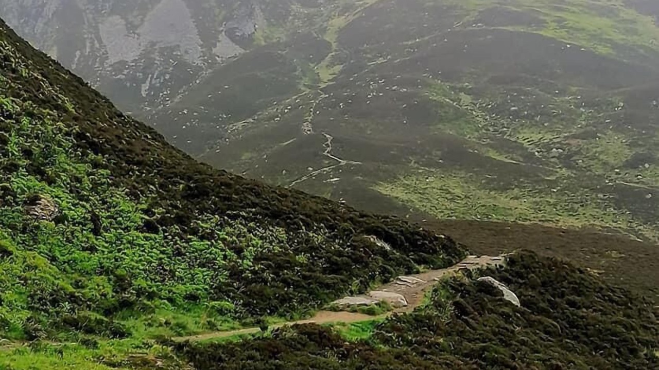 Photo of Others in Pitlochry