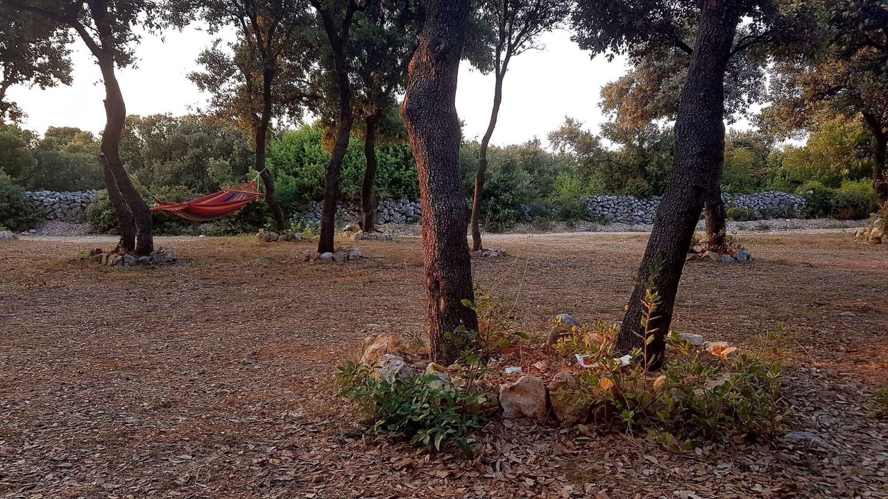 Photo of Outdoor in Mandre