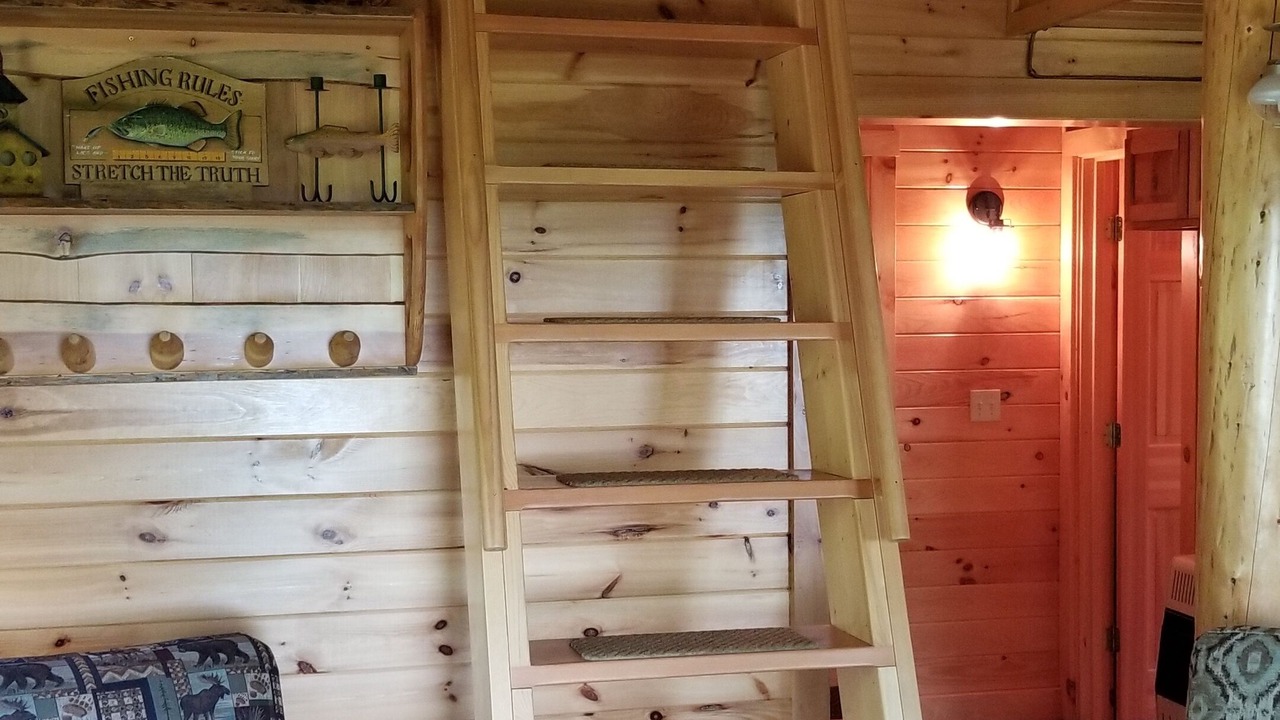 Photo of Others in Newry