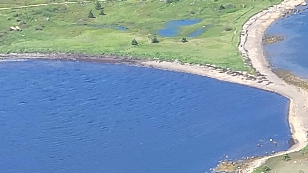 Photo of Others in Charlos Cove