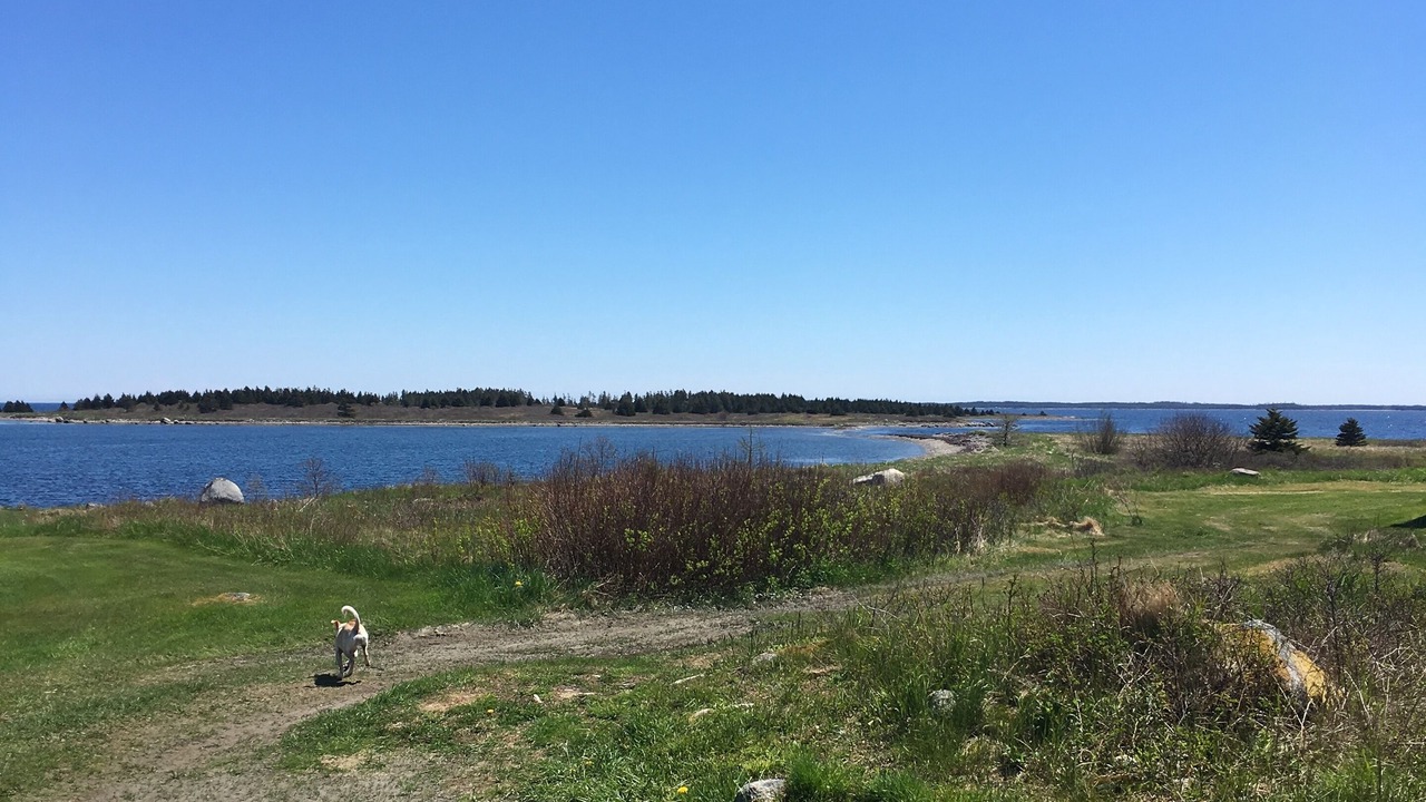 Photo of Others in Charlos Cove