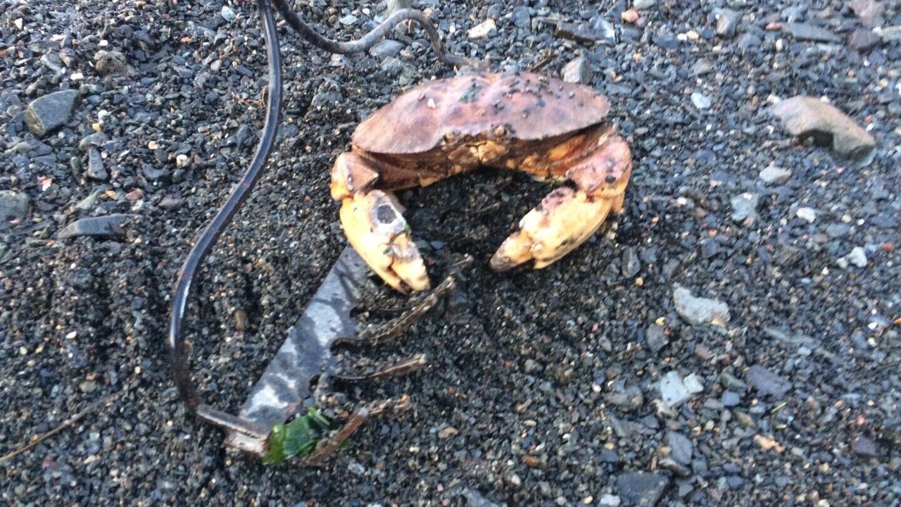 Photo of Others in Campobello Island