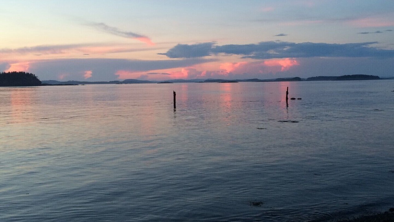 Photo of Others in Campobello Island
