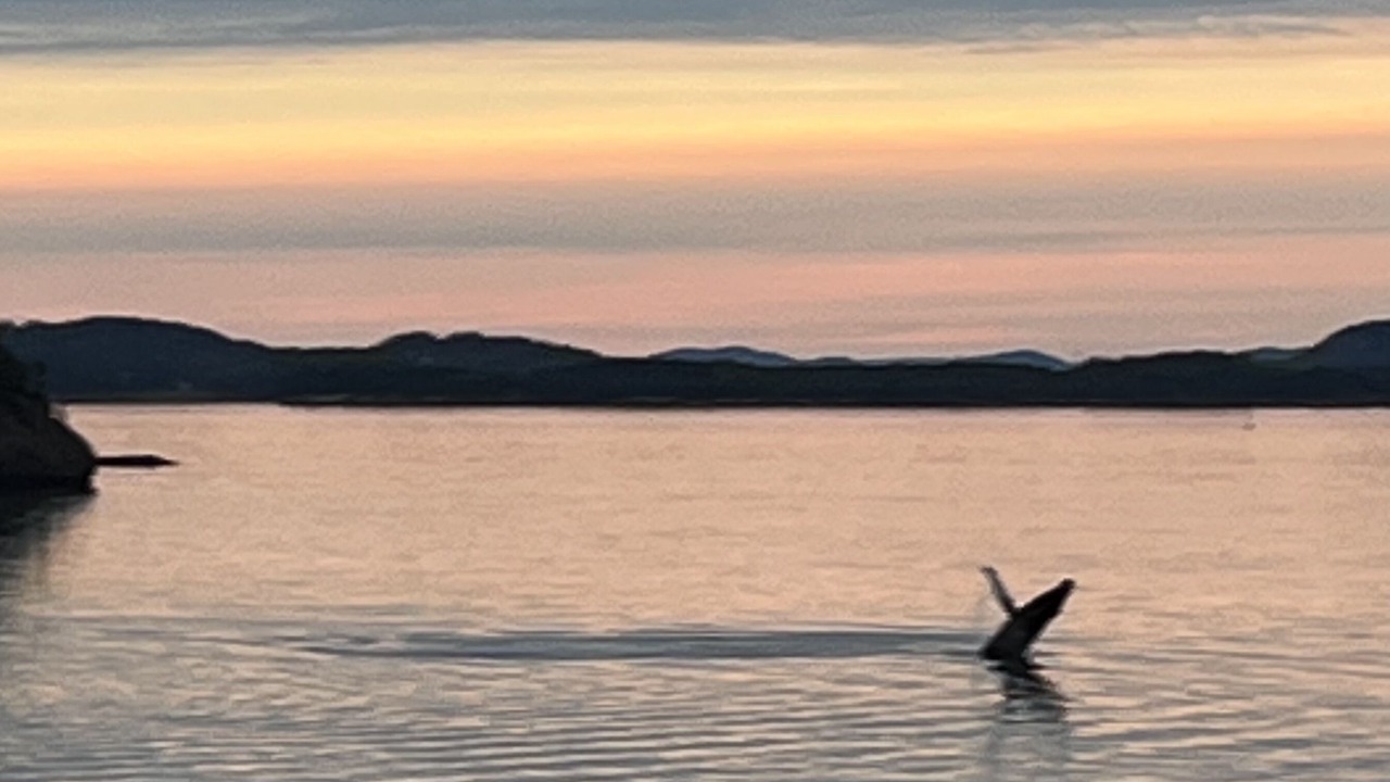 Photo of Outdoor in Campobello Island