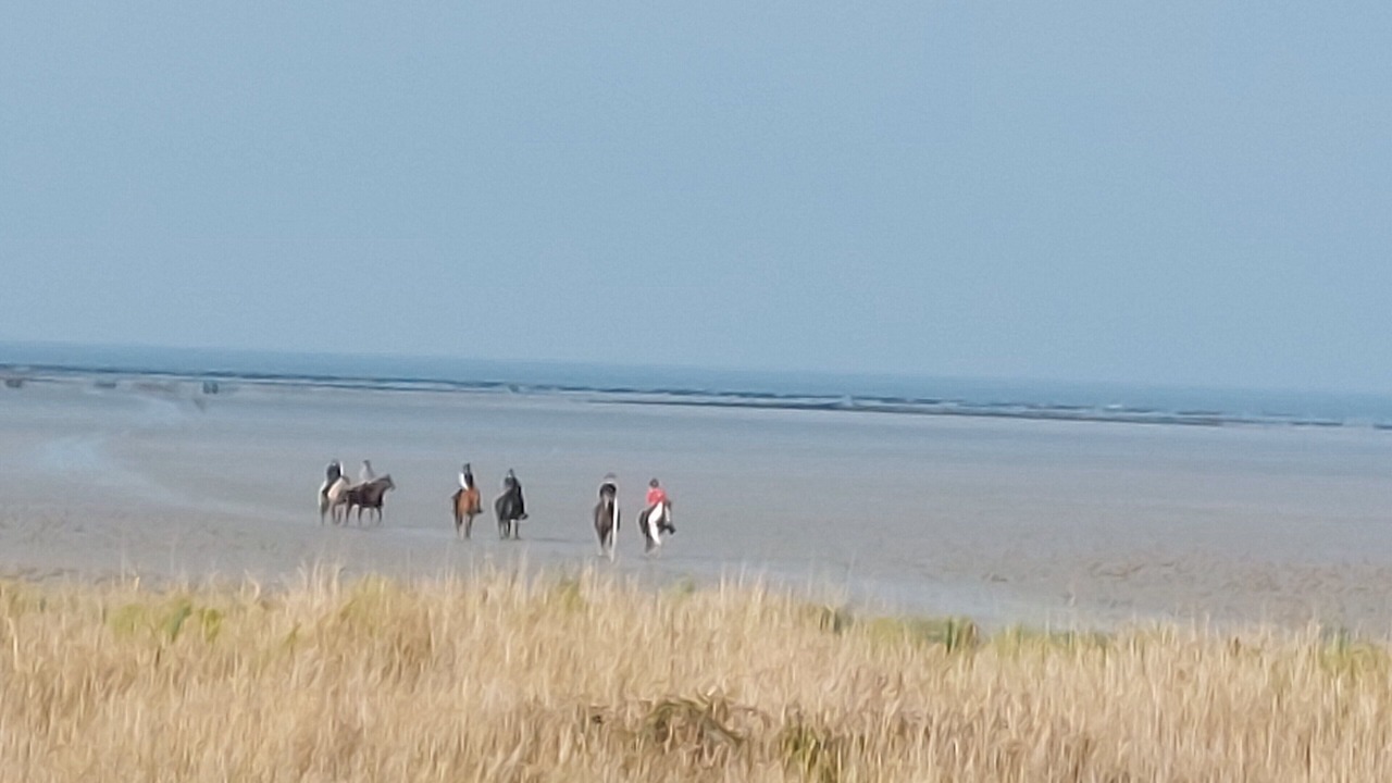 Photo of Others in Cherrueix