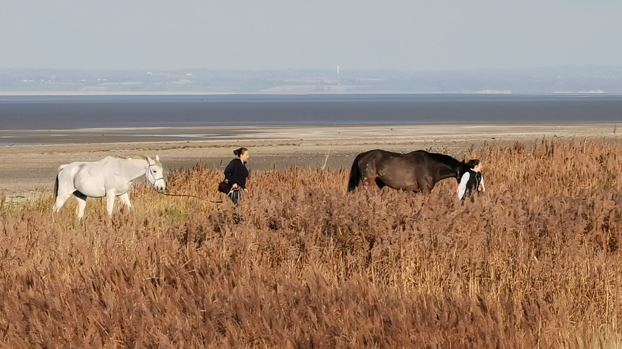 Photo of Others in Cherrueix