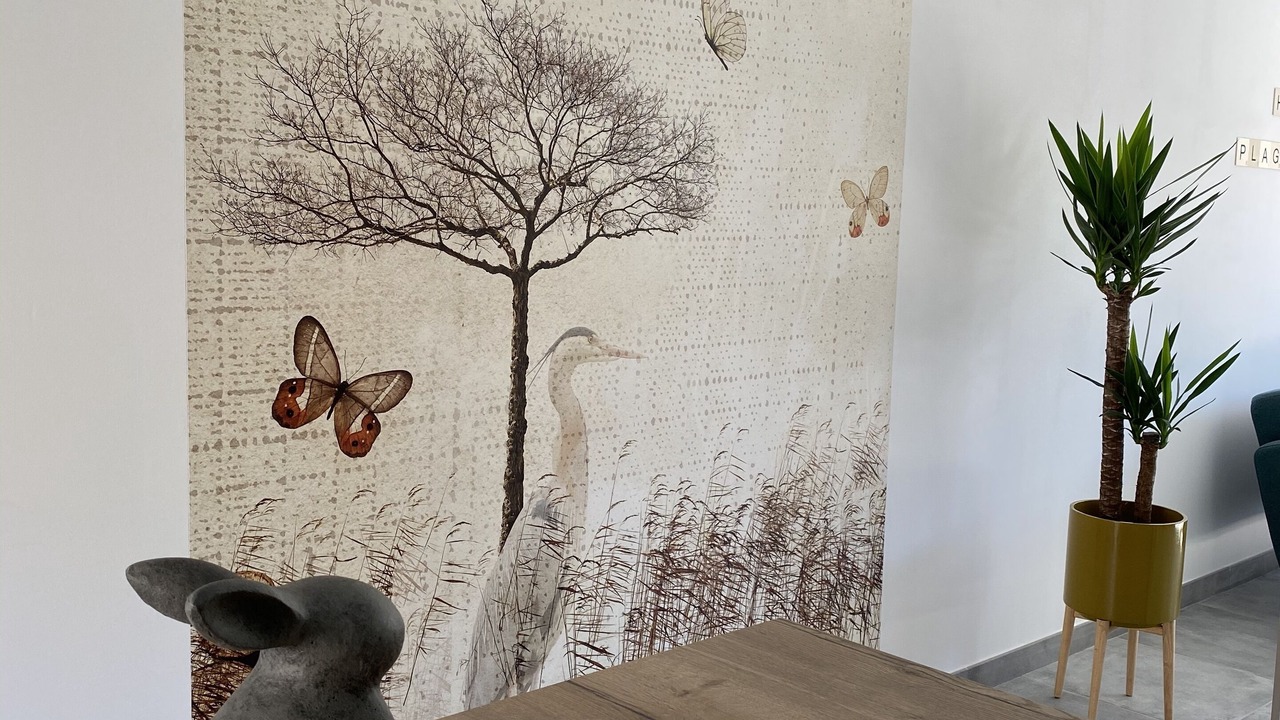 Photo of Others in Hourtin-Plage