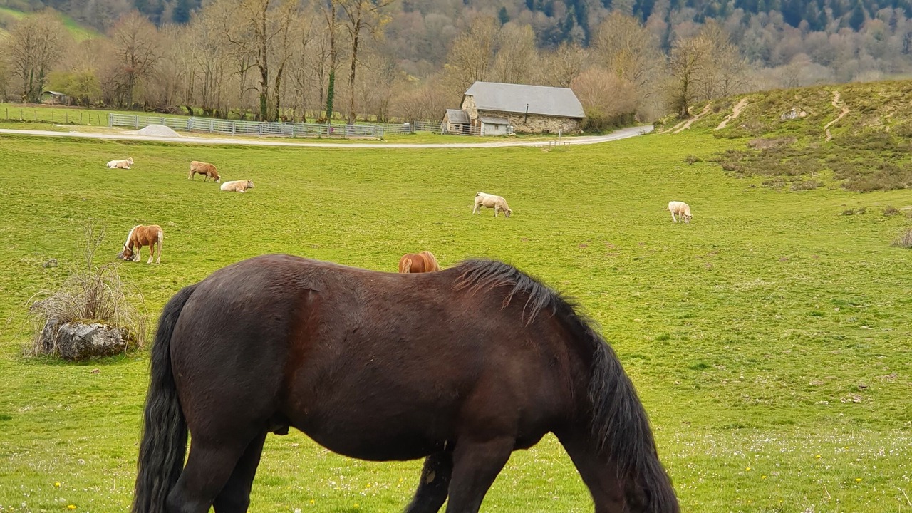 Photo of Others in Eaux-Bonnes
