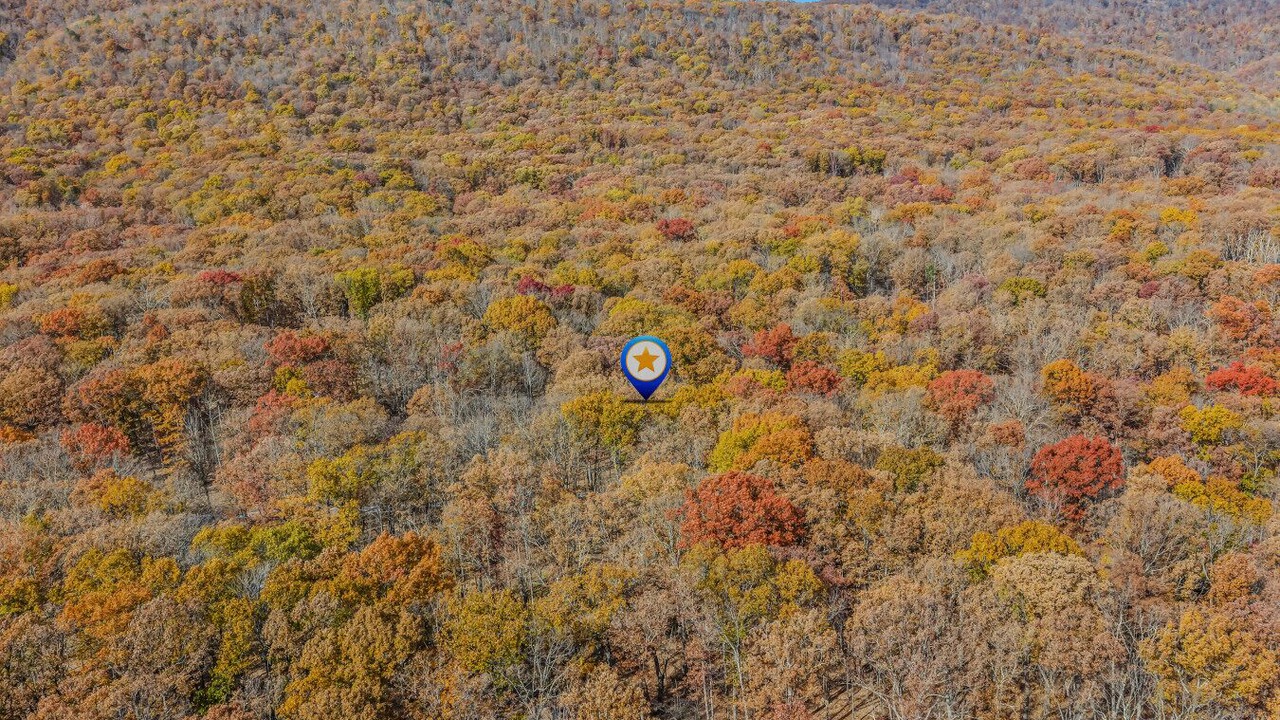 Photo of Others in Great Cacapon