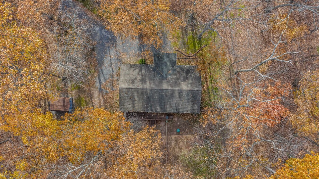 Photo of Others in Great Cacapon