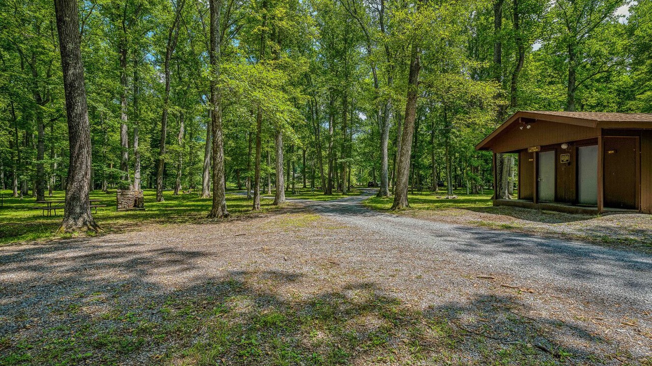 Photo of Others in Great Cacapon