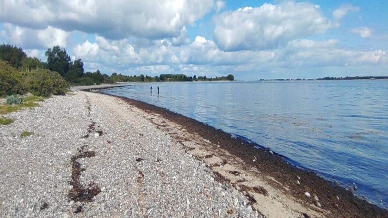 Photo of Outdoor in Flovt Strand