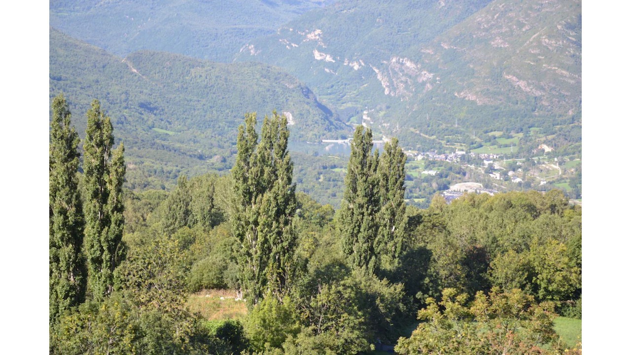Photo of Others in Cerler