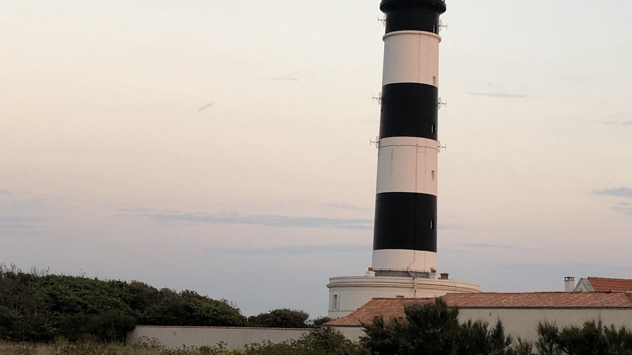 Photo of Others in Saint-Denis-d'Oleron