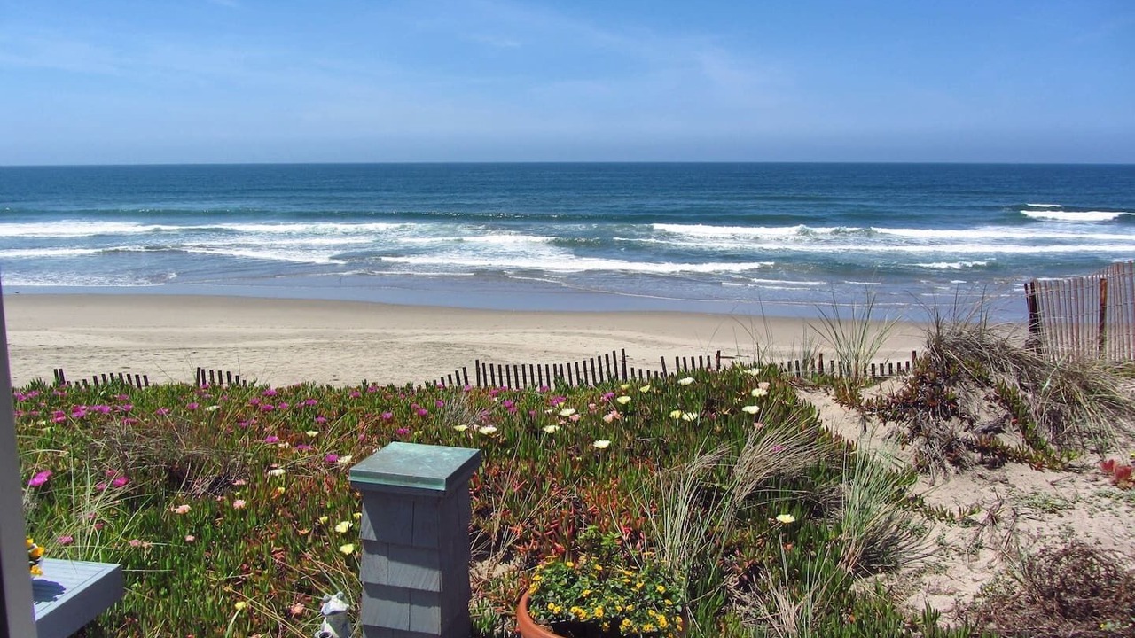 Photo of Others in Watsonville