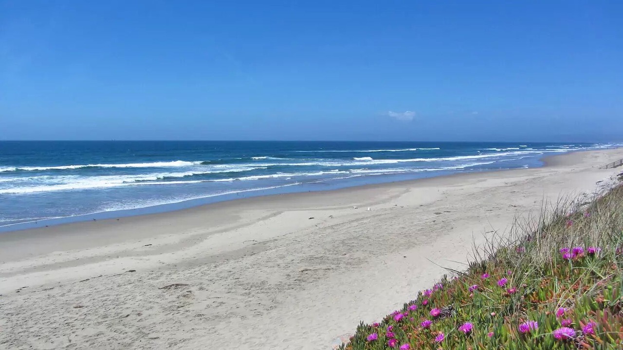 Photo of Others in Watsonville