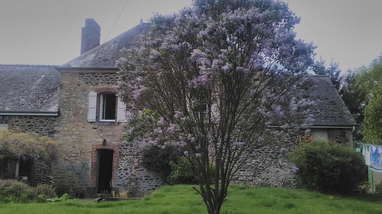 Photo of Outdoor in Chatillon-sur-Colmont