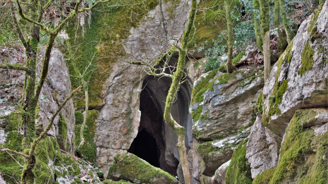 Photo of Others in Casteljau