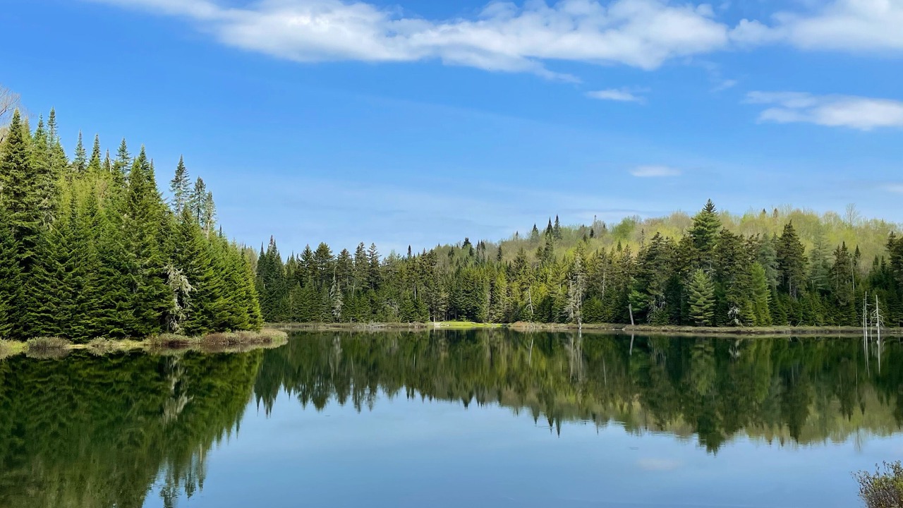 Photo of Outdoor in Pittsburg