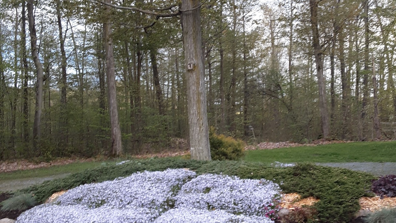 Photo of Outdoor in Town of Torrey