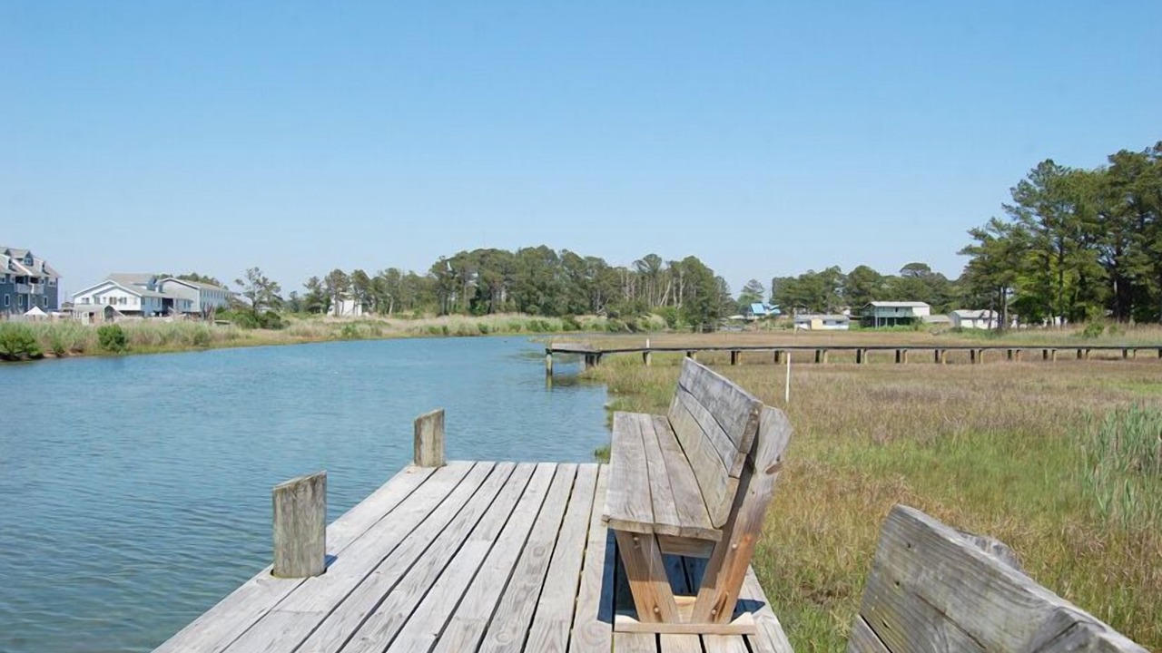 Photo of Others in Chincoteague