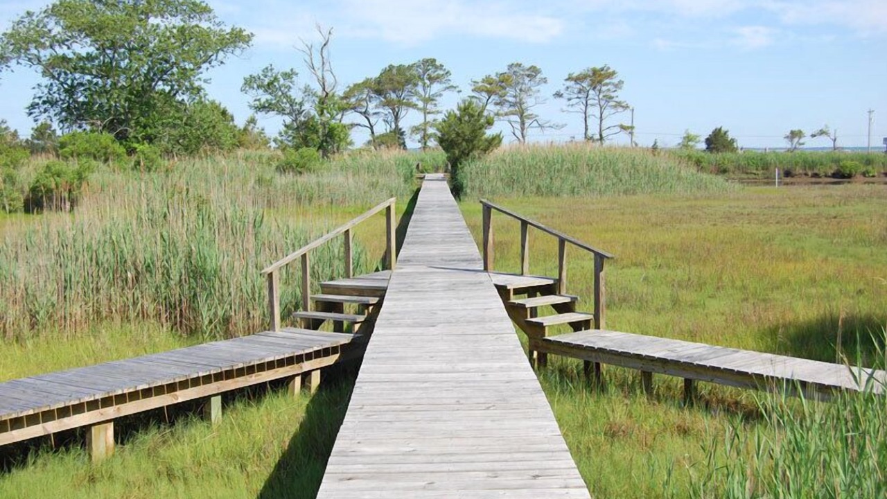 Photo of Others in Chincoteague