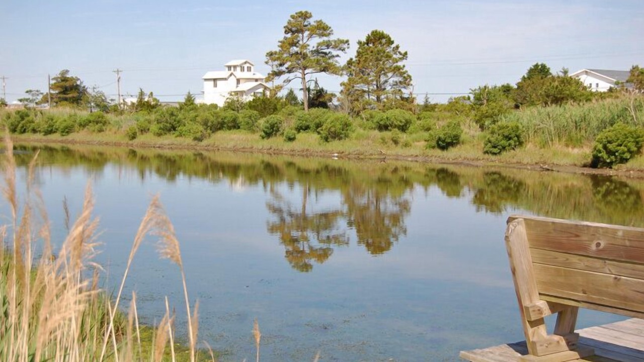 Photo of Others in Chincoteague