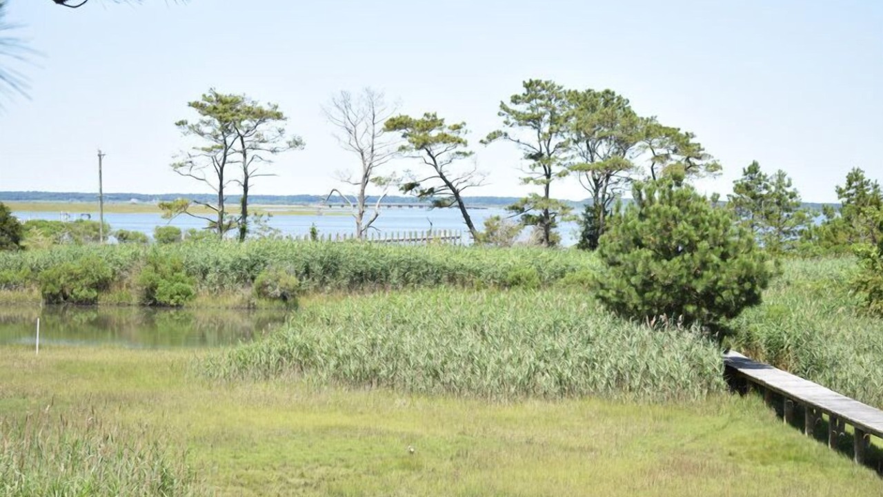 Photo of Others in Chincoteague