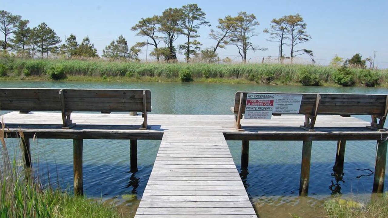 Photo of Others in Chincoteague