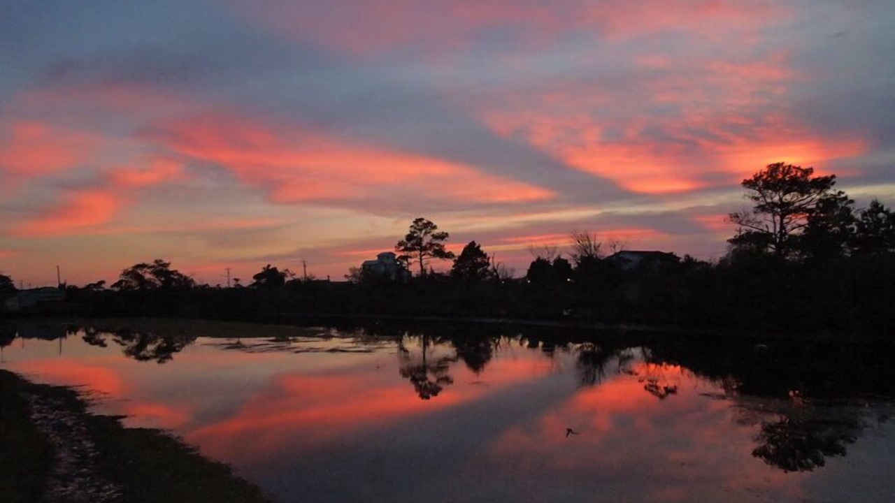 Photo of Others in Chincoteague