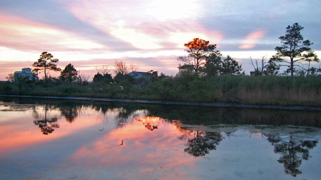 Photo of Others in Chincoteague