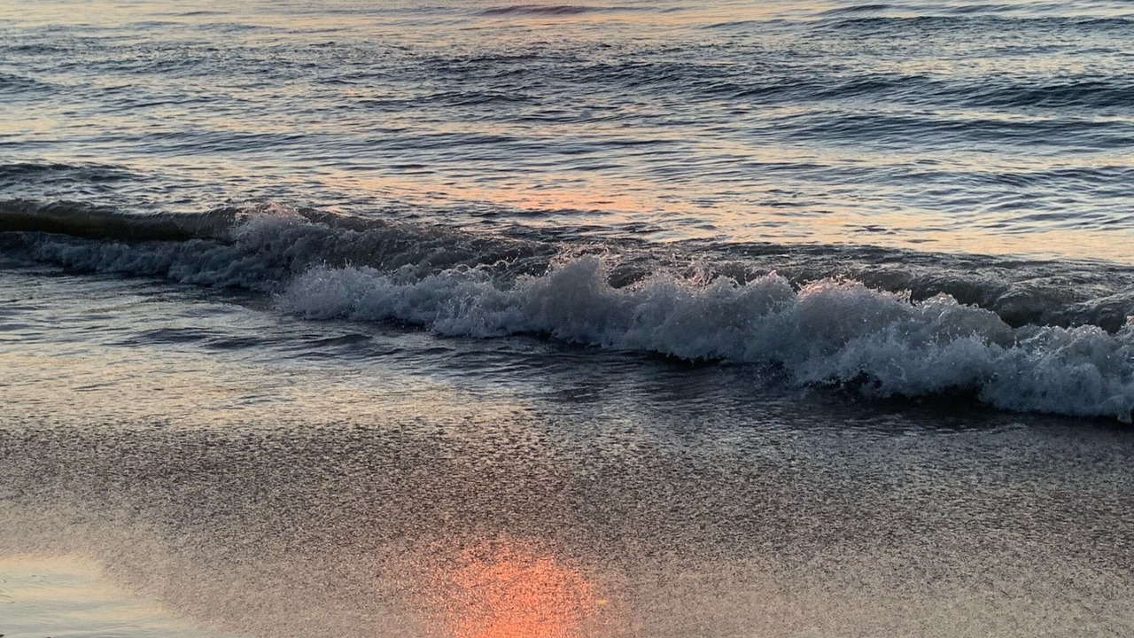 Photo of Others in Lake Michigan Beach