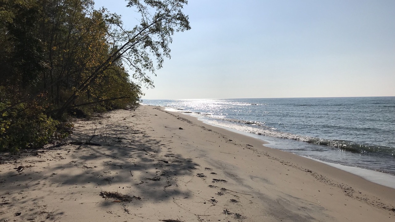 Photo of Others in Lake Michigan Beach