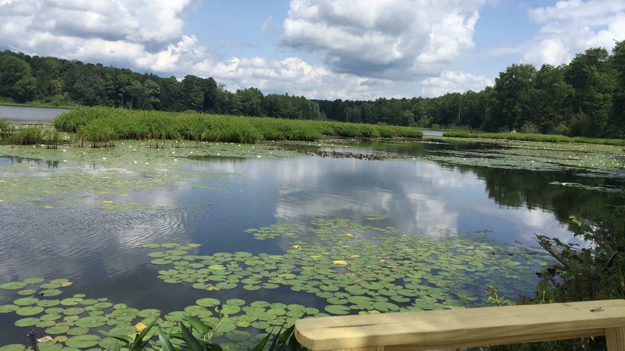 Photo of Outdoor in New Milford