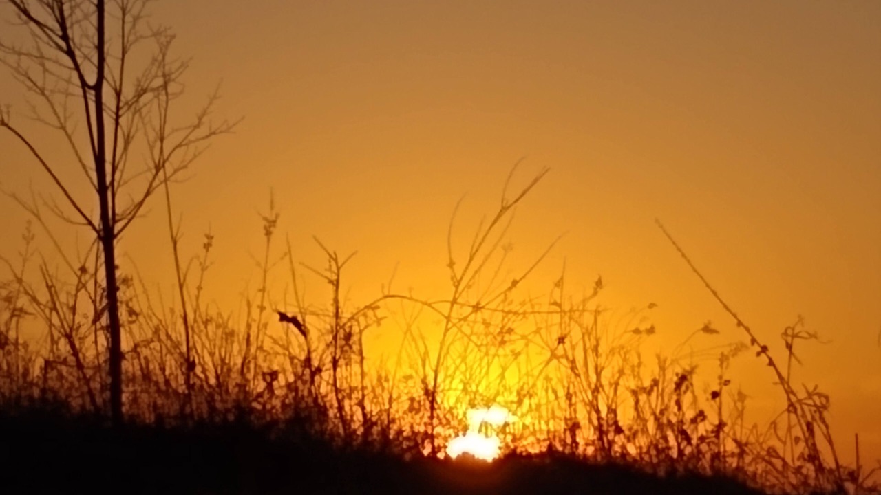 Photo of Outdoor in Eldorado