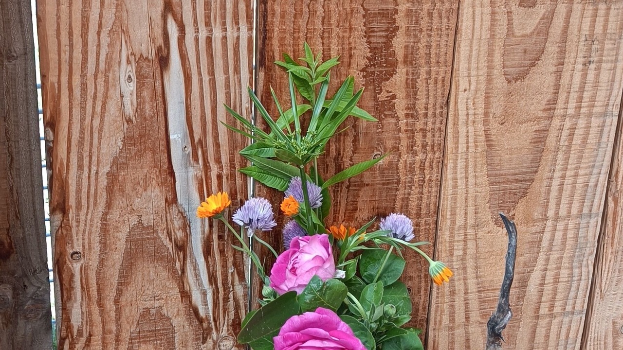 Photo of Outdoor in Laloubere