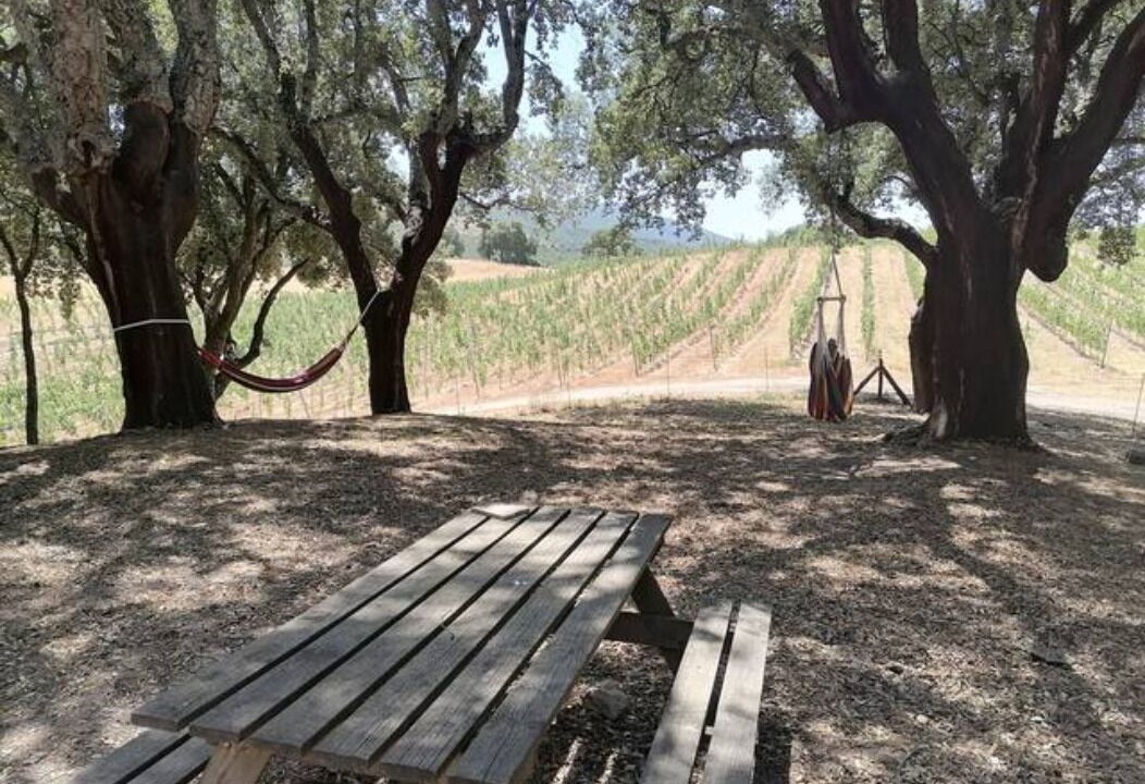 Photo of Outdoor in Carbuccia