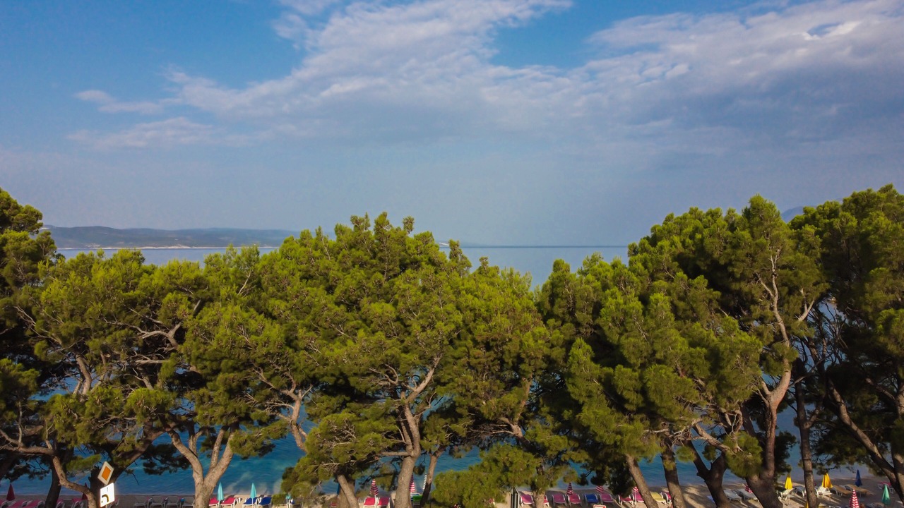 Photo of Others in Baska Voda